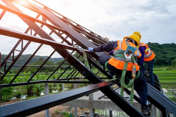 Best Local Roofing Companies  in Paola, KS